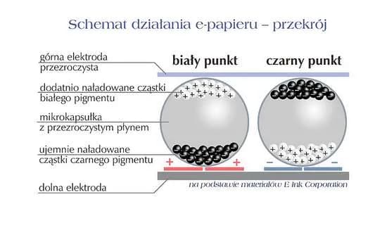 Jak działają ekrany e-ink i do czego są wykorzystywane w smartwatchach? Jak działają ekrany e-ink i do czego są wykorzystywane w smartwatchach?