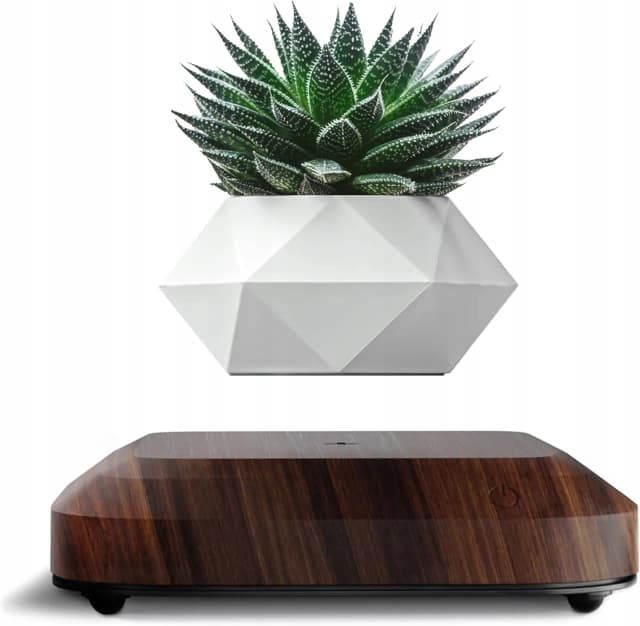 Lewitująca doniczka: Jak działa i jaką wybrać do dekoracji wnętrz? Lewitująca doniczka: Jak działa i jaką wybrać do dekoracji wnętrz?